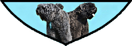 SITE WEB ELEVAGE DU CLOS DE LA LUETTE SPECIALISE POUR LE BOUVIER DES FLANDRES &copy; COPYRIGHT DEPOSE